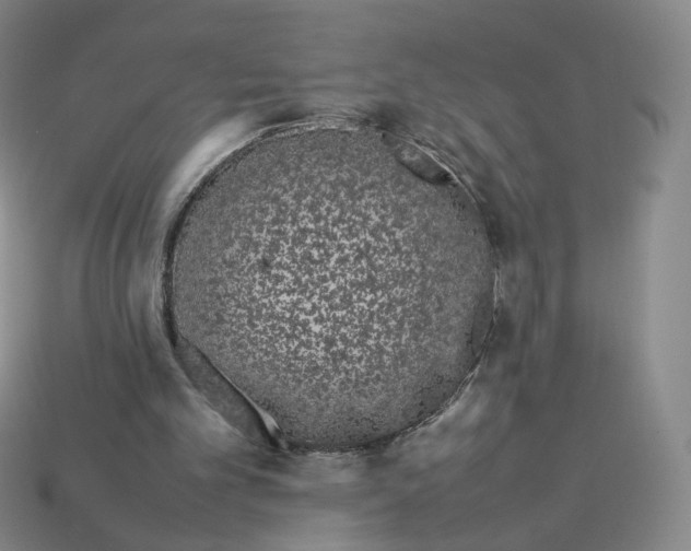 X0000113260101200910011416