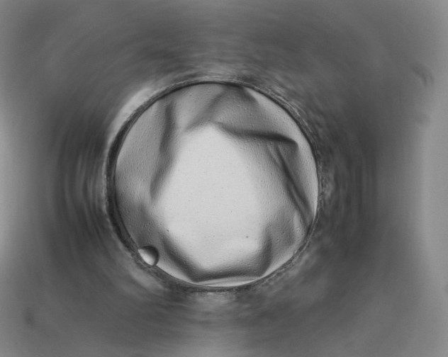 X0000113260102200910011416