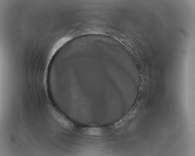 X0000113260104200910011416