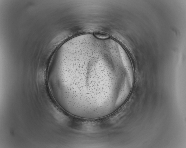 X0000113260105200910011416