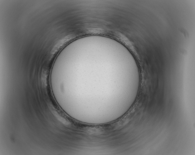X0000113260106200910011416