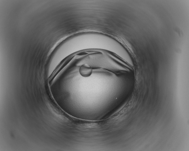 X0000113260108200910011416