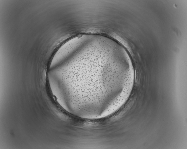X0000113260109200910011416