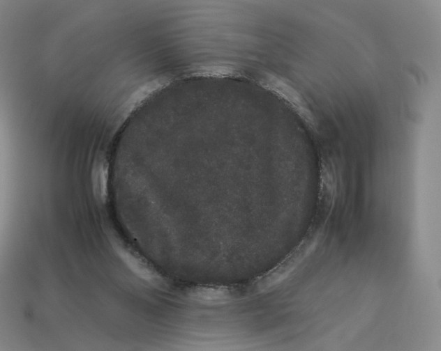 X0000113260110200910011416