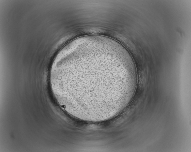 X0000113260111200910011416