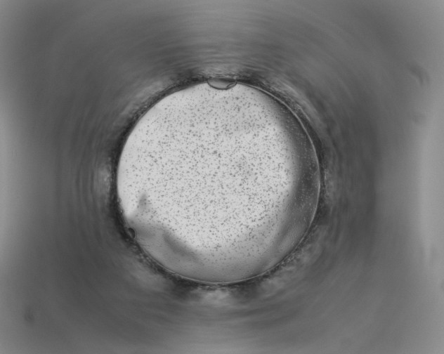 X0000113260113200910011416