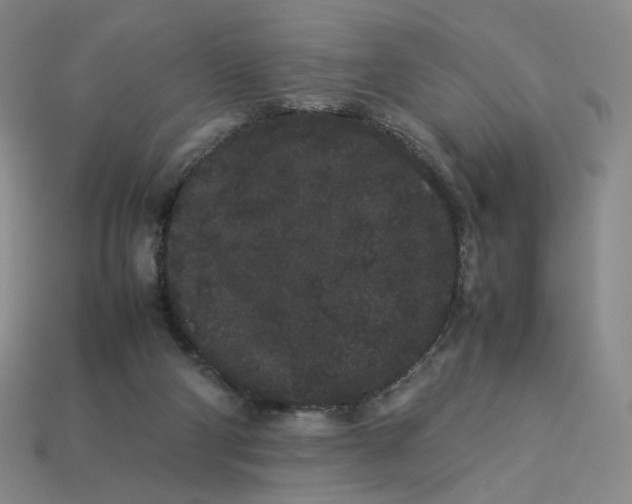 X0000113260114200910011416