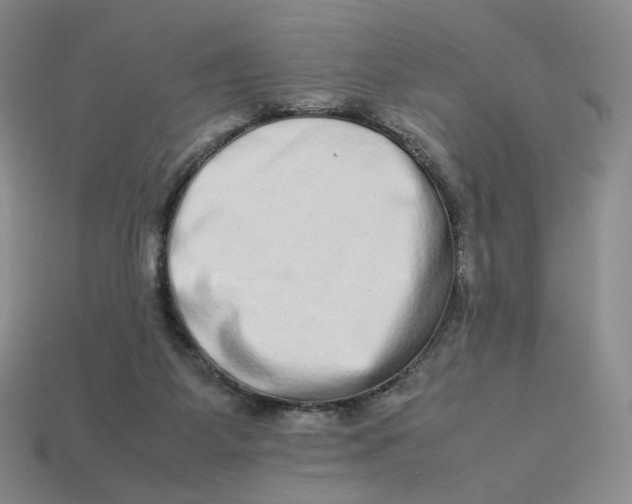 X0000113260115200910011416
