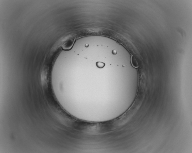 X0000113260116200910011416