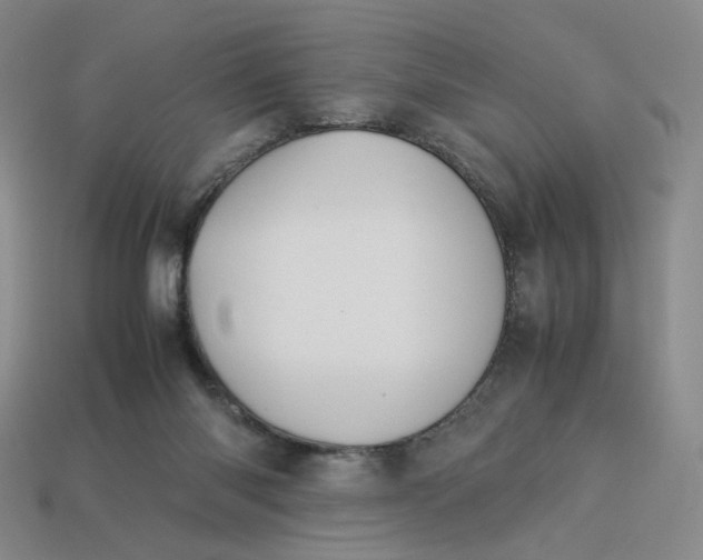 X0000113260118200910011415