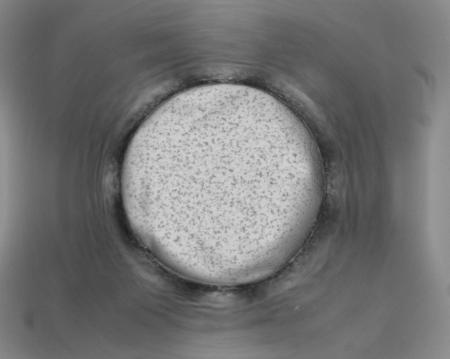 X0000113260119200910011415