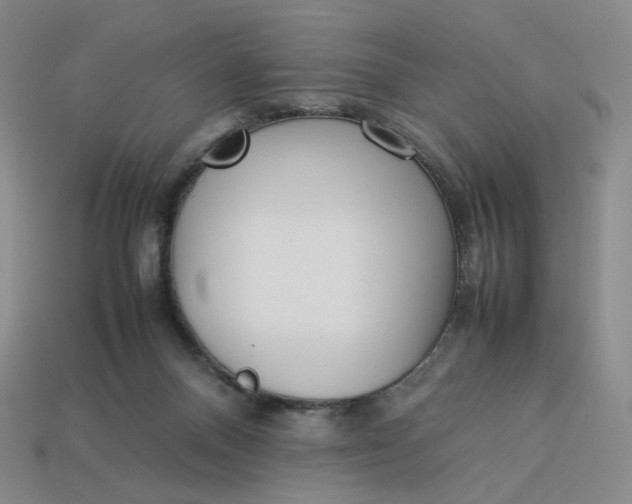 X0000113260120200910011415