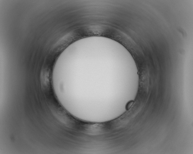 X0000113260122200910011415