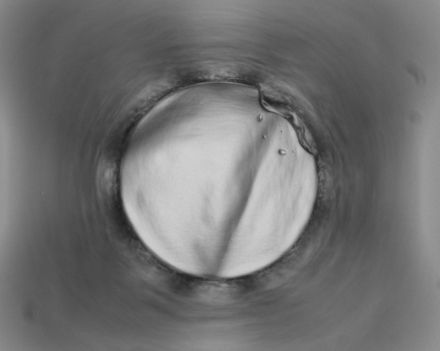 X0000113260123200910011415