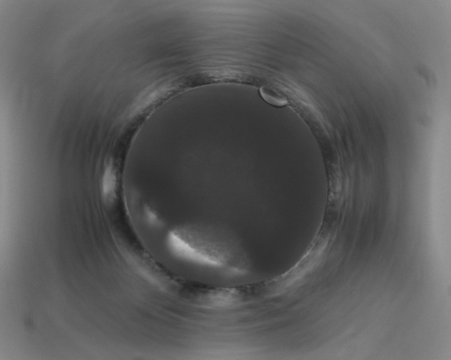 X0000113260124200910011415