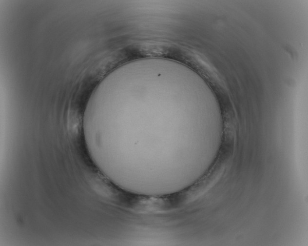 X0000113260125200910011415