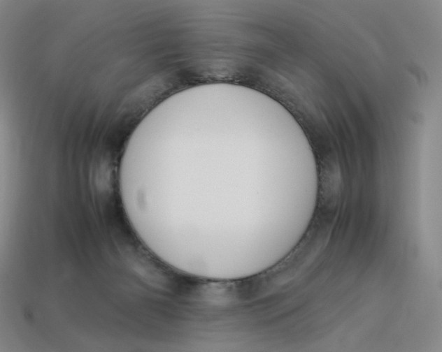 X0000113260126200910011415
