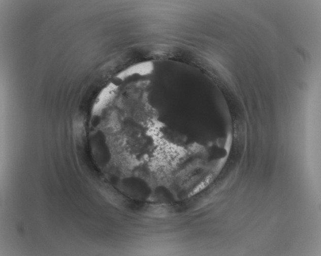 X0000113260127200910011415