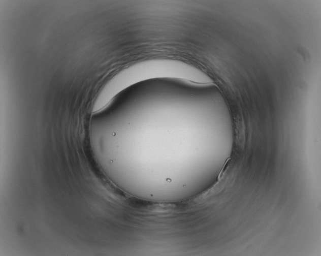 X0000113260128200910011415