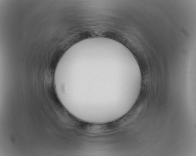 X0000113260129200910011415