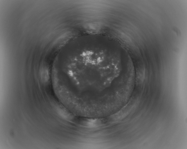 X0000113260130200910011415