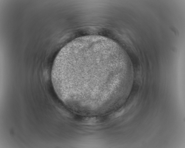 X0000113260131200910011415
