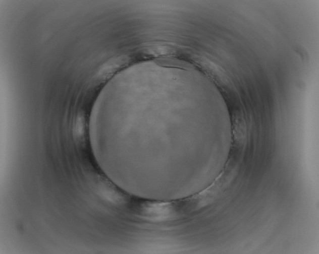 X0000113260132200910011415