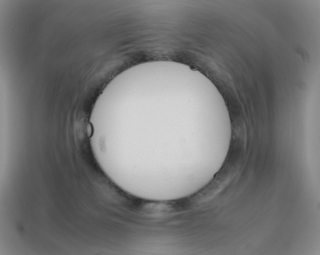 X0000113260133200910011415