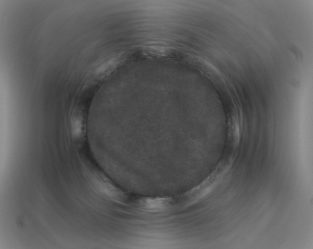 X0000113260134200910011415