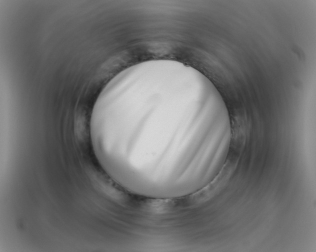 X0000113260136200910011415