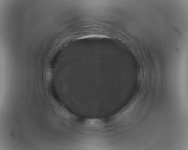 X0000113260137200910011415