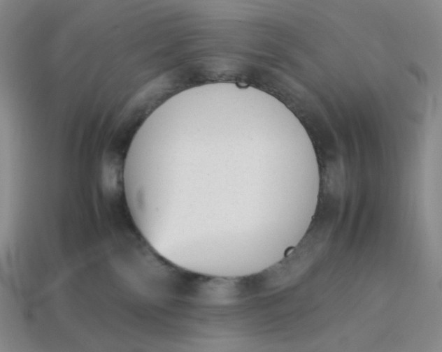 X0000113260138200910011415