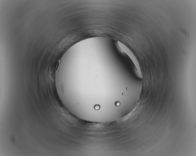 X0000113260140200910011415