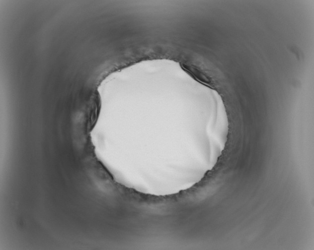 X0000113260144200910011415