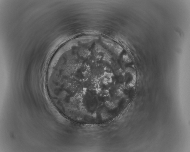 X0000113260145200910011415