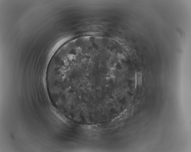 X0000113260147200910011415