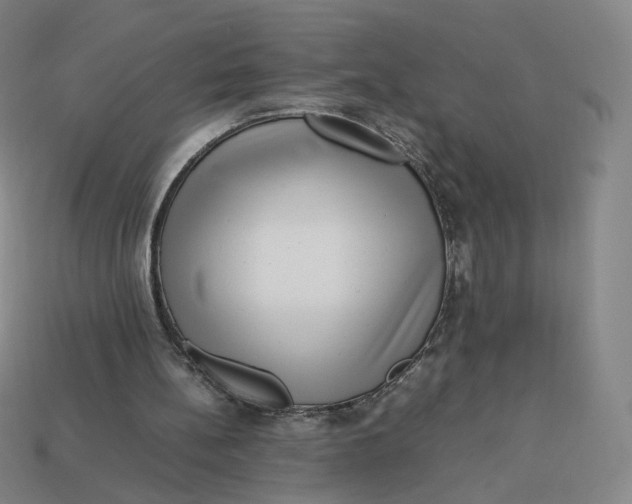 X0000113260148200910011415