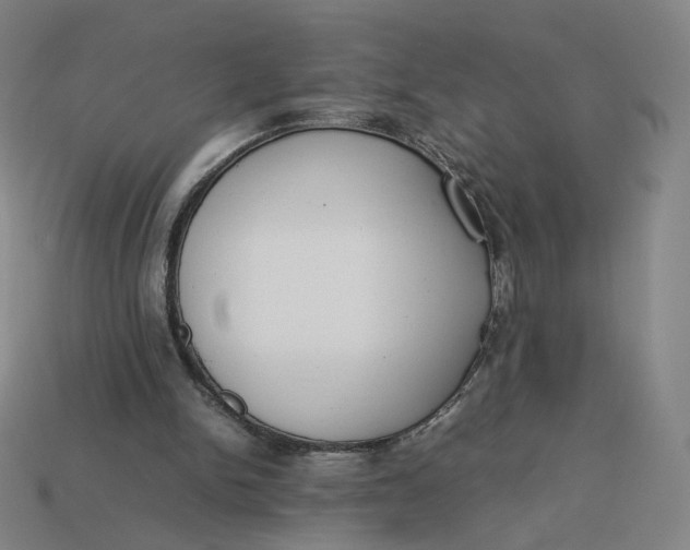 X0000113260150200910011415