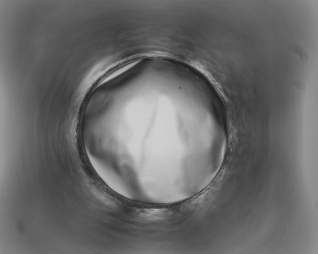 X0000113260151200910011415