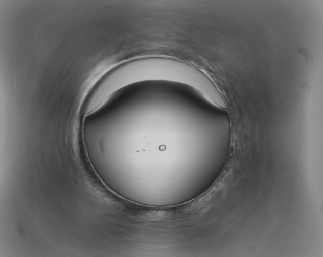 X0000113260152200910011415
