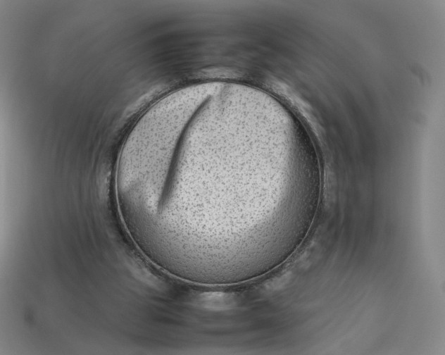 X0000113260153200910011415
