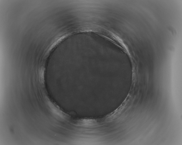 X0000113260154200910011415