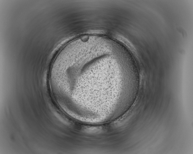 X0000113260155200910011415