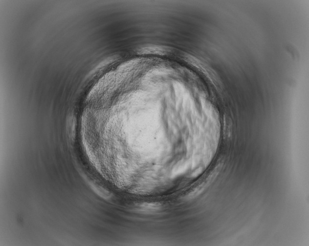 X0000113260157200910011415