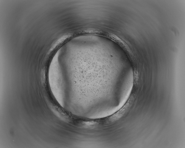 X0000113260158200910011415