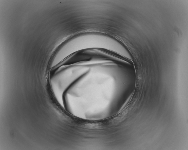 X0000113260160200910011415
