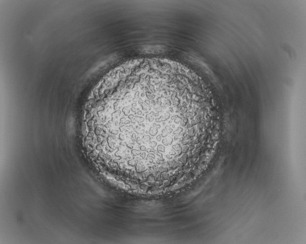 X0000113260161200910011415