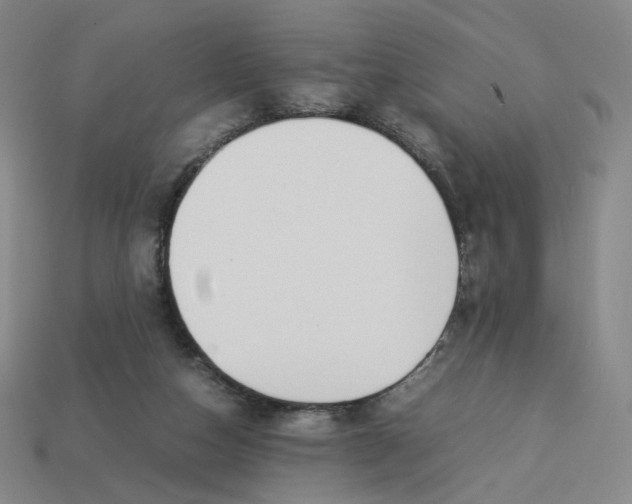 X0000113260162200910011415