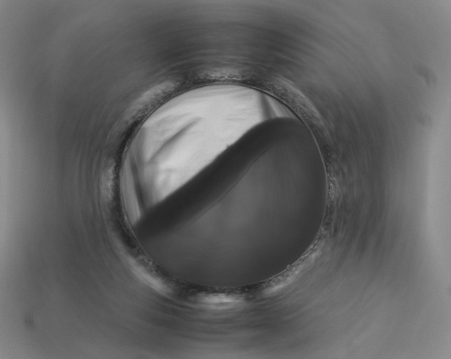 X0000113260163200910011415