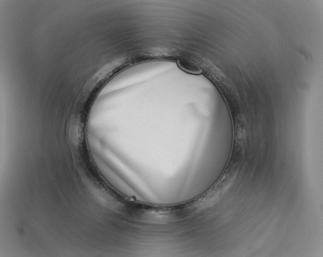 X0000113260164200910011415